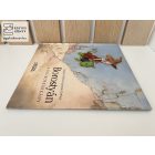 Borostyán a kis boszorkány