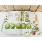 Andersen nagy mesekönyv