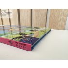 Dumbó - Walt Disney klasszikus