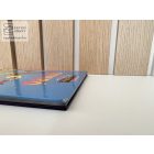 Dumbó - Walt Disney klasszikus