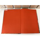 102 kiskutya - Walt Disney klasszikus