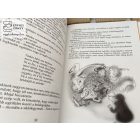 A téli tücsök meséi