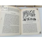 Varázslók kézikönyve