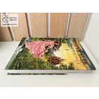 Benedek Elek - Nagy mesekönyv 1.