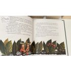 Aprótörpe indiánok