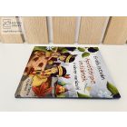 Aprótörpe indiánok 2 - A vándor varázsló