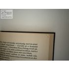 Gergő és az álomvámpírok