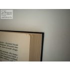 Gergő és az álomvámpírok