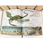 Legendás állatok és megfigyelésük