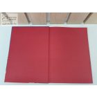 Repcsik - Walt Disney klasszikus