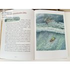 Csodálatos jóéjtmesék