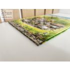 Csetepaté a kiskertben