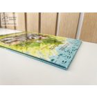 Csetepaté a kiskertben