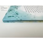 Csetepaté a kiskertben