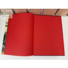 A Robinson család titka - Walt Disney klasszikus