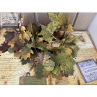 Tündérek nyomában