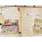 Találkozás a virágtündérekkel