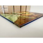 A hercegnő és a béka - Walt Disney klasszikus