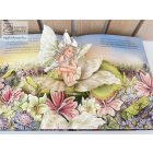 A varázslatos titkos kert