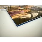 Aranyhaj és a nagy gubanc - Walt Disney klasszikus