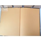 Aranyhaj és a nagy gubanc - Walt Disney klasszikus