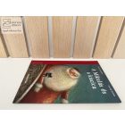 A Mikulás és a kiscica